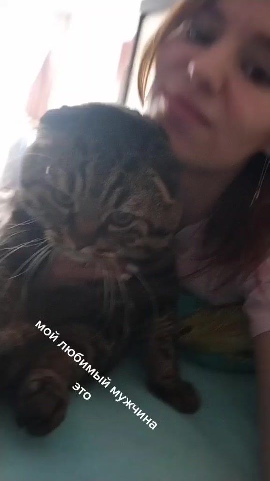 TikTok video thumbnail by userdvnabv6z2v