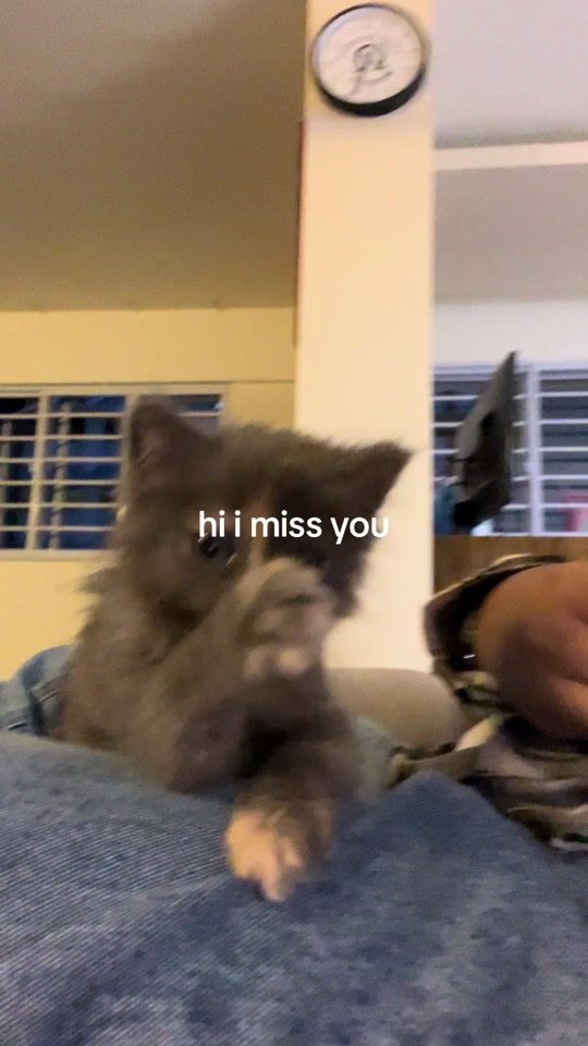 TikTok video thumbnail by k3palabrutal