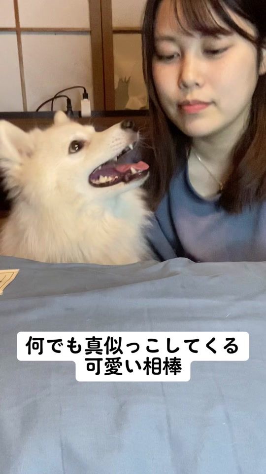 TikTok video thumbnail by i.am.popochi