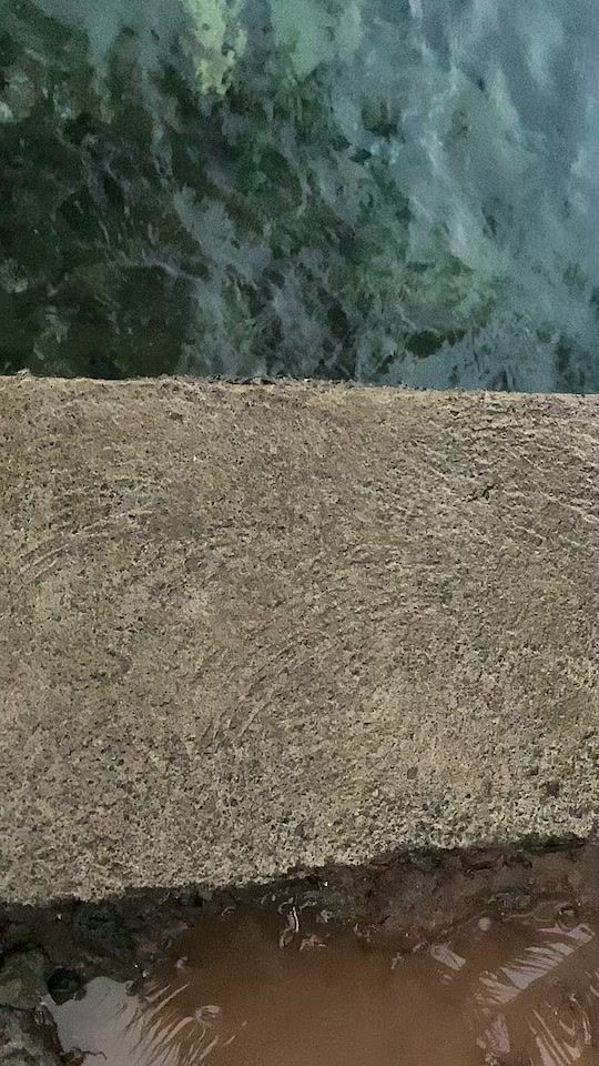 TikTok video thumbnail by paysage_pick