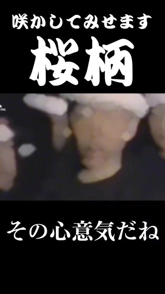 TikTok video thumbnail by user6846337538452