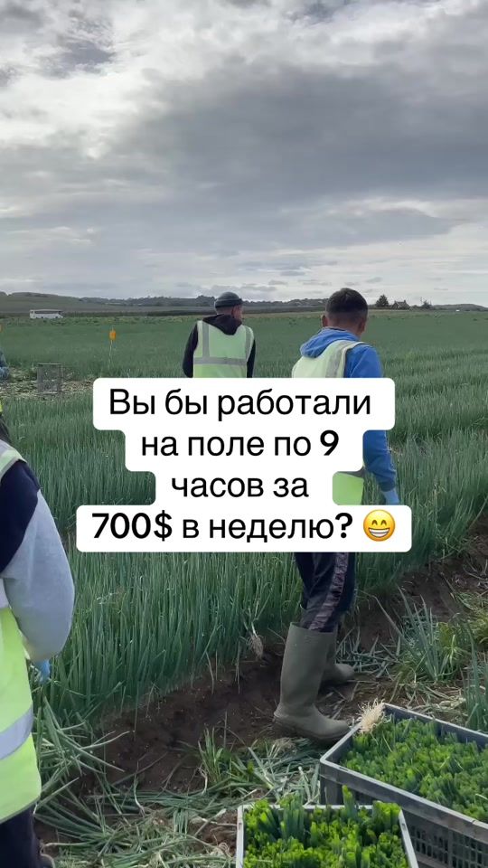 TikTok video thumbnail by zarina_inspiration