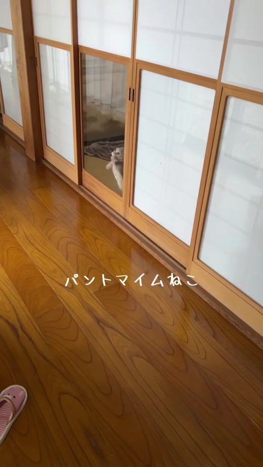 TikTok video thumbnail by senmu0711_