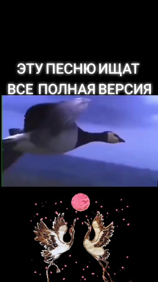 TikTok video thumbnail by kavkazskiy.exclusive