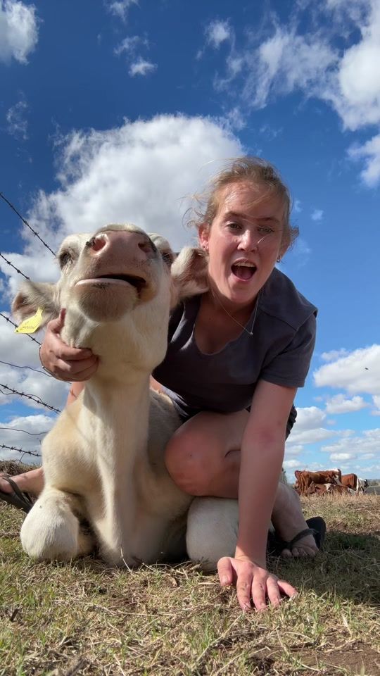 TikTok video thumbnail by linsey.laurette