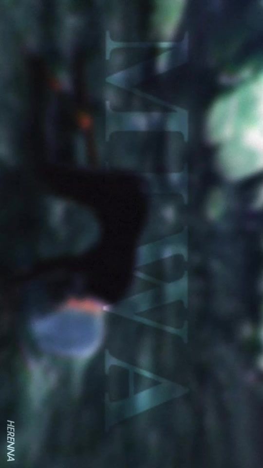 TikTok video thumbnail by vertavids