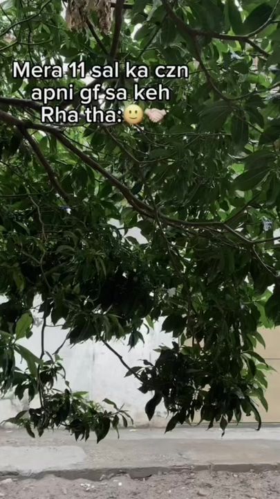 TikTok video thumbnail by anas._.dgaf01