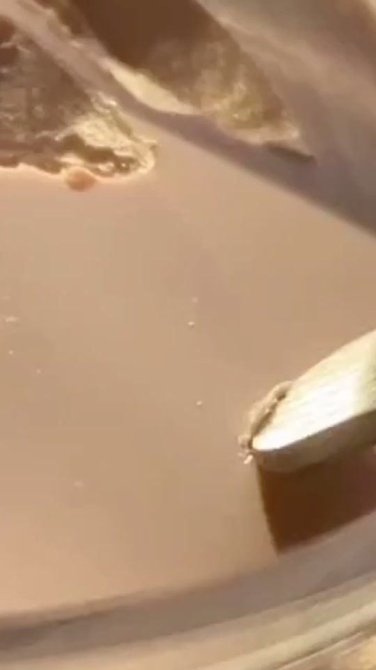 TikTok video thumbnail by eh_0117