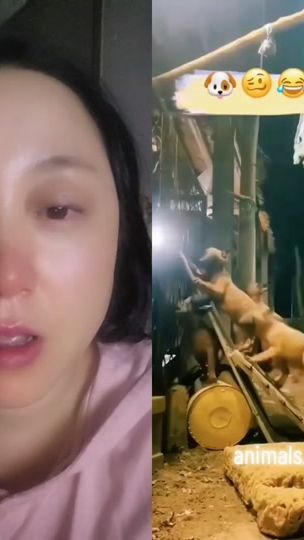 TikTok video thumbnail by ran1004