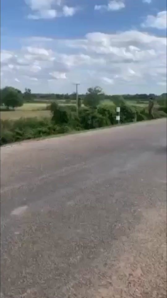 TikTok video thumbnail by mg_s367