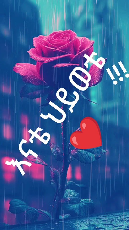 TikTok video thumbnail by user56085790mekdi