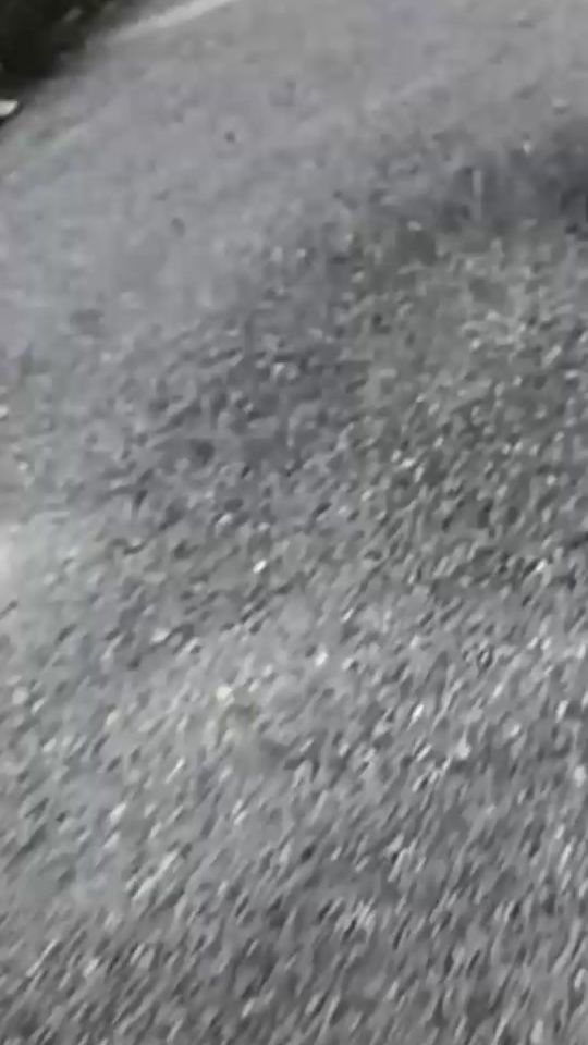 TikTok video thumbnail by foreverhorseteam