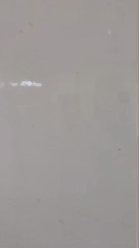 TikTok video thumbnail by dogvilleisrael
