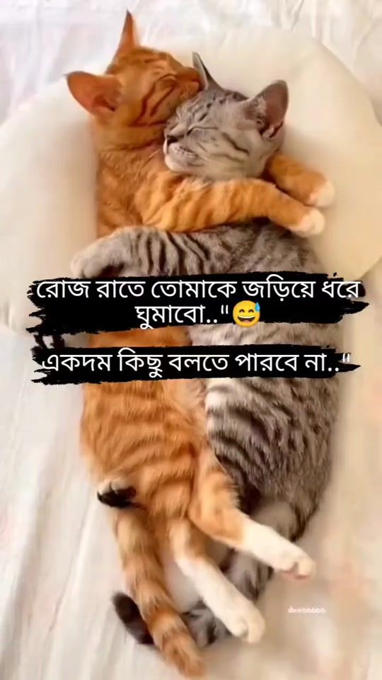 TikTok video thumbnail by realbad021