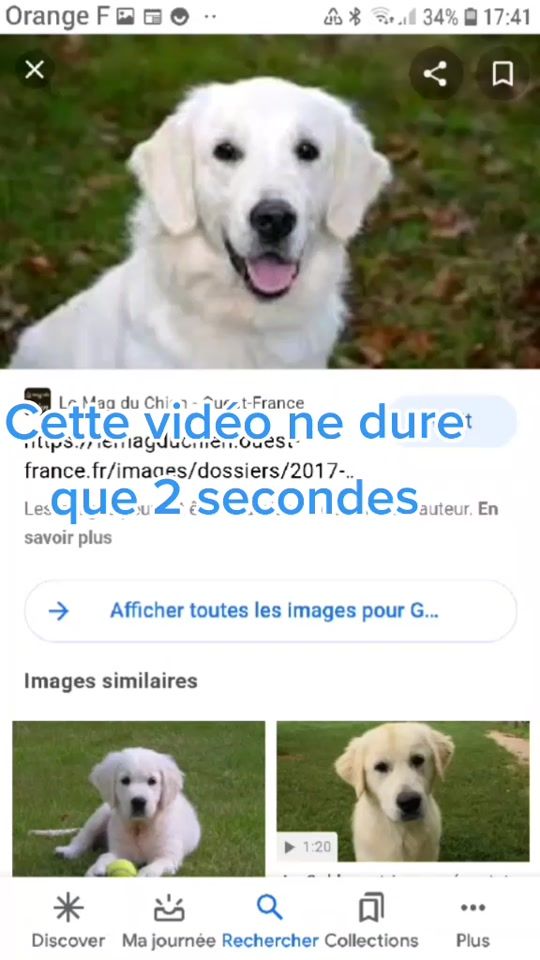 TikTok video thumbnail by chienamour