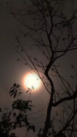 TikTok video thumbnail by imgiig_
