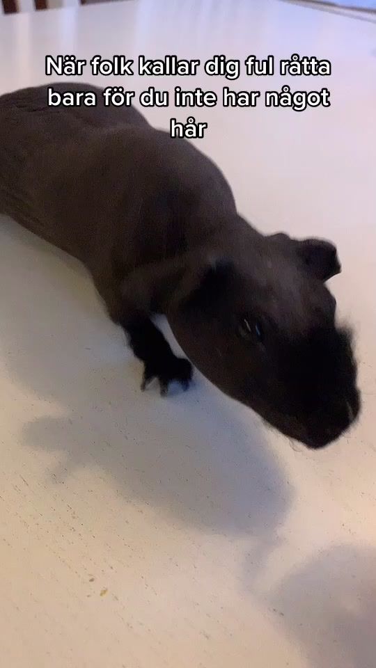 TikTok video thumbnail by marsvin0