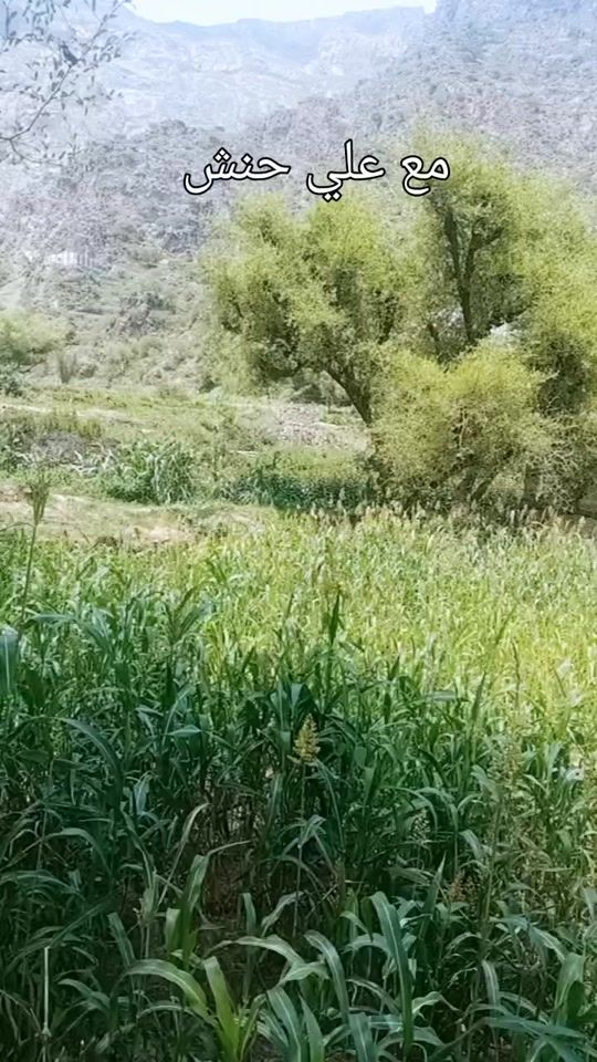 TikTok video thumbnail by marwas000