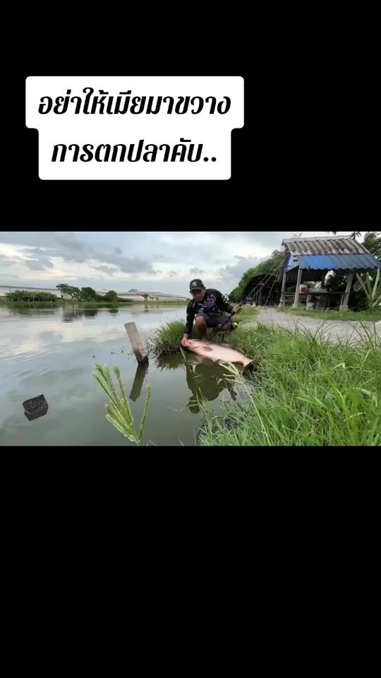 TikTok video thumbnail by aofnattapornaof
