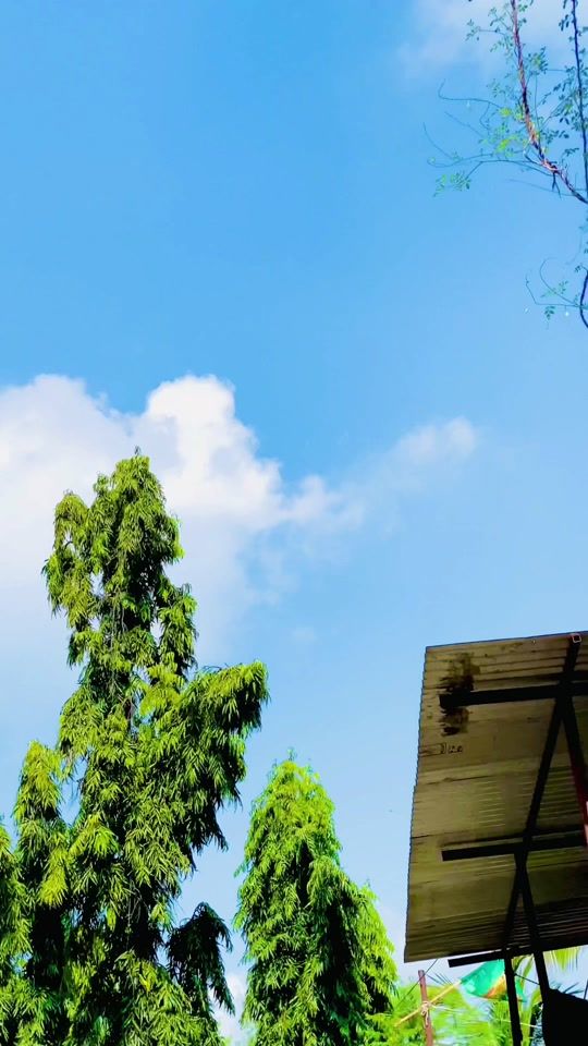 TikTok video thumbnail by rupchan126