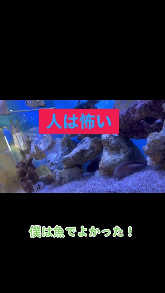 TikTok video thumbnail by keyuamitege
