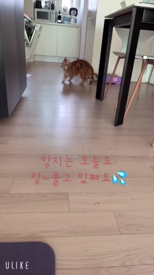 TikTok video thumbnail by angji123