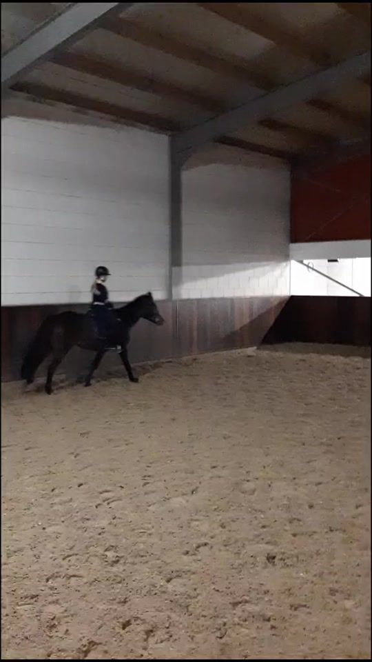 TikTok video thumbnail by ponysquads_