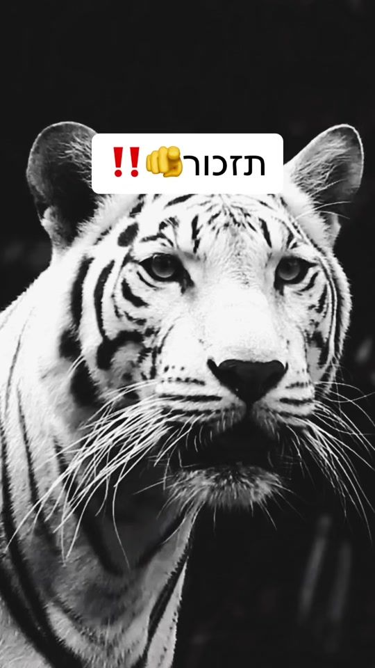 TikTok video thumbnail by mindset4millioners_il