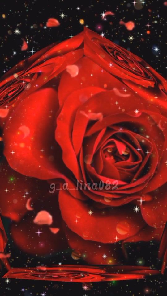 TikTok video thumbnail by _g_a__lina