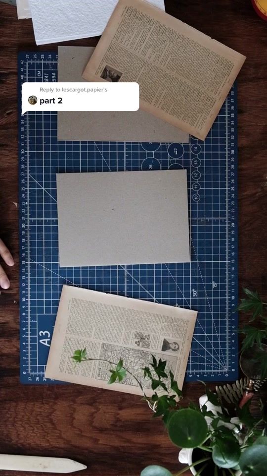 TikTok video thumbnail by lescargot.papier