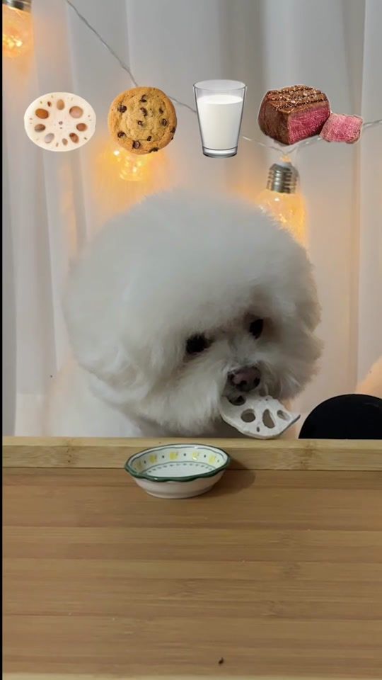 TikTok video thumbnail by jjina0331