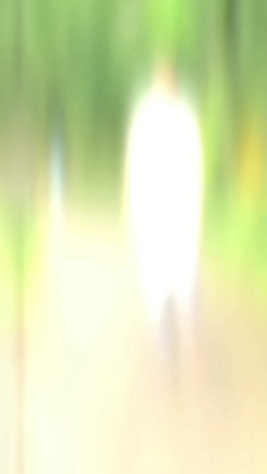 TikTok video thumbnail by ontor891