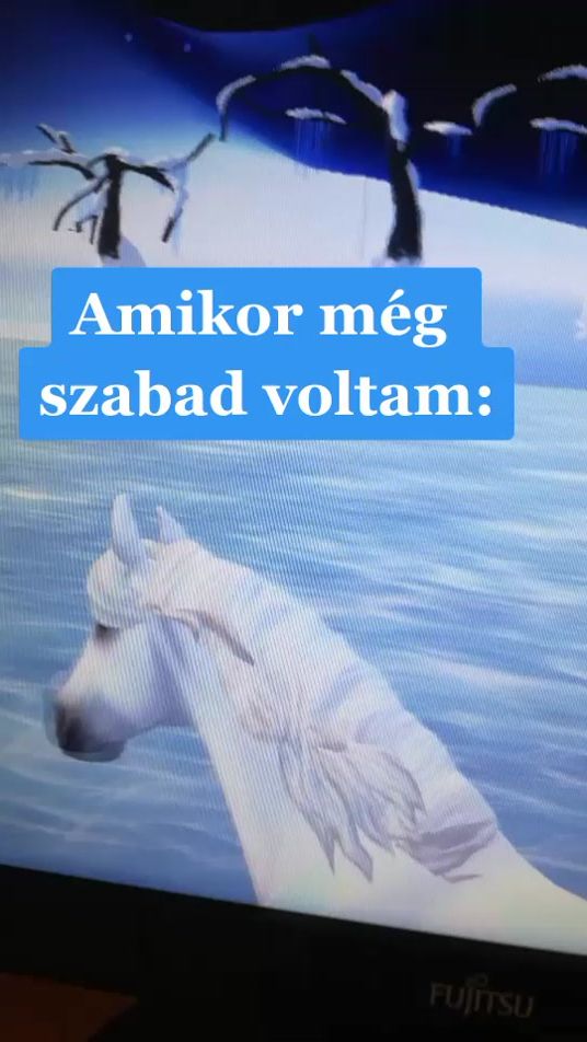 TikTok video thumbnail by starstable2020_0