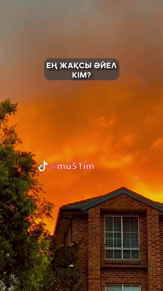 TikTok video thumbnail by mu51im