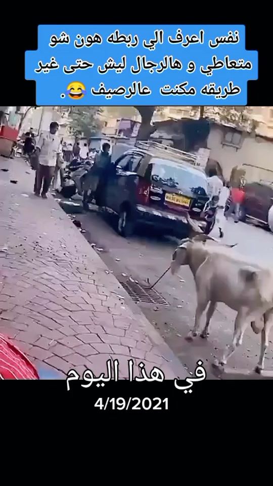 TikTok video thumbnail by majed.g11