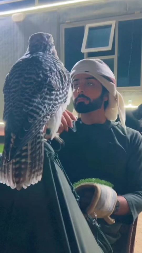 TikTok video thumbnail by talal.6006