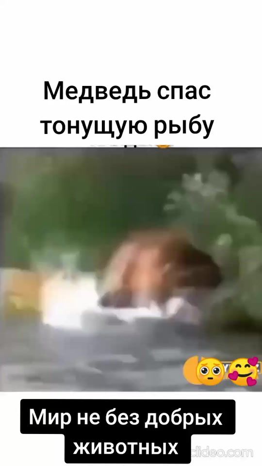 TikTok video thumbnail by uzbek.mahalla