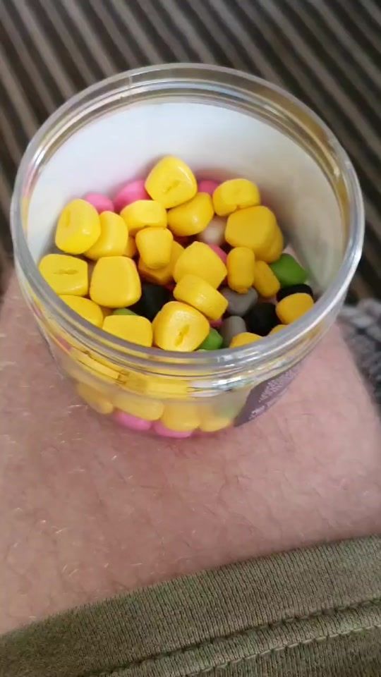 TikTok video thumbnail by adamisfishing