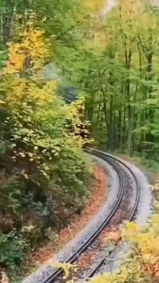 TikTok video thumbnail by chayahs69