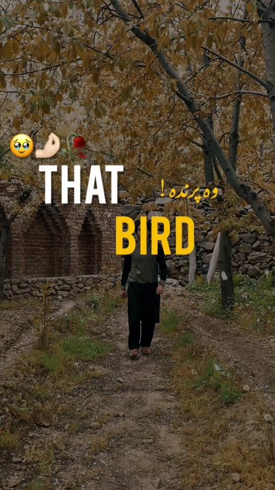TikTok video thumbnail by 1am_abdol