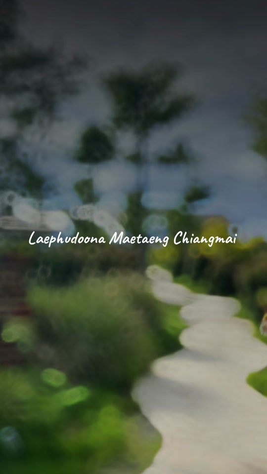 TikTok video thumbnail by laephudoona