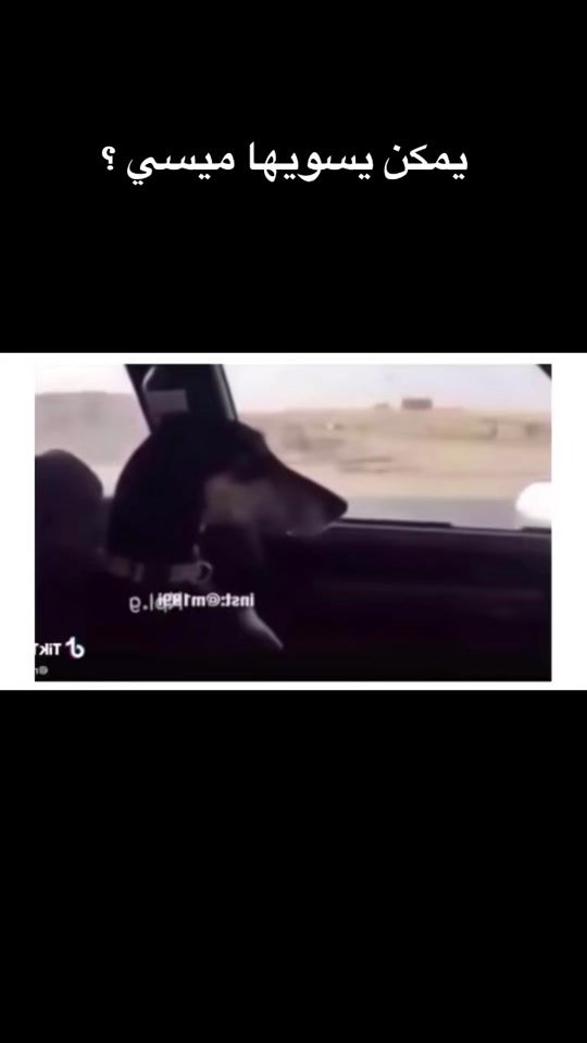 TikTok video thumbnail by 77sii