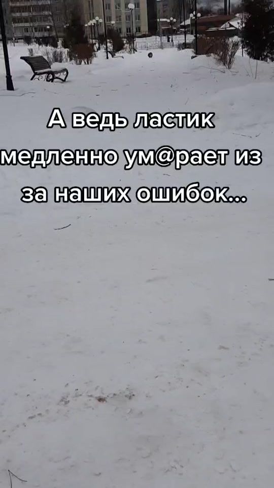 TikTok video thumbnail by spitz.rik