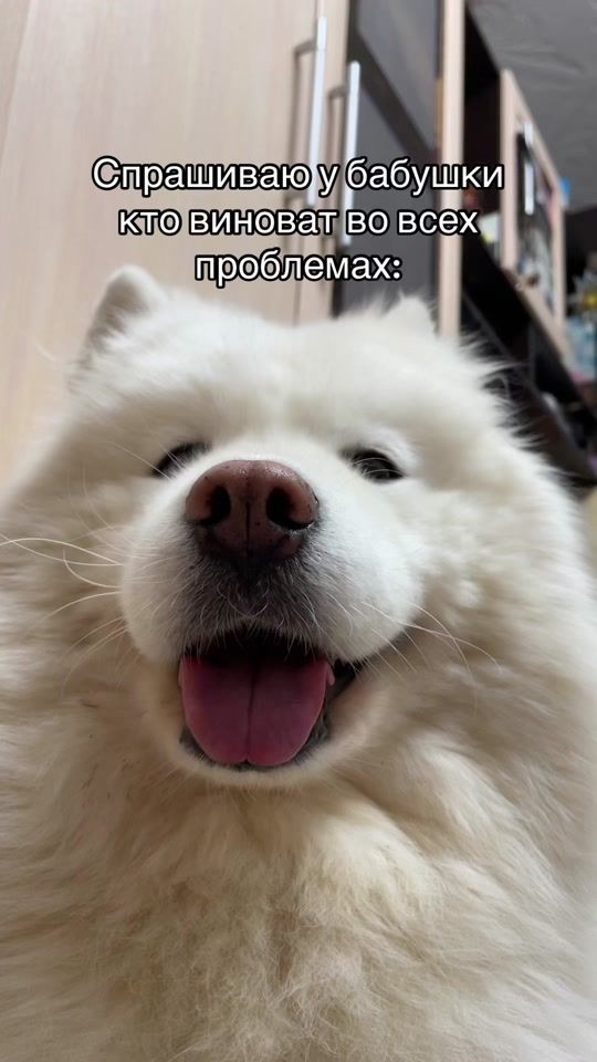 TikTok video thumbnail by marka.mira