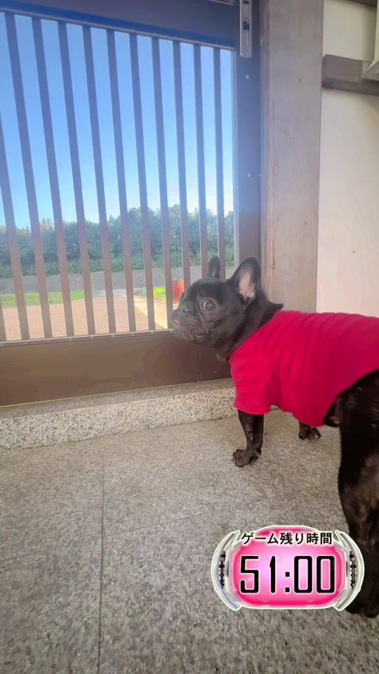 TikTok video thumbnail by kimekime_frebull