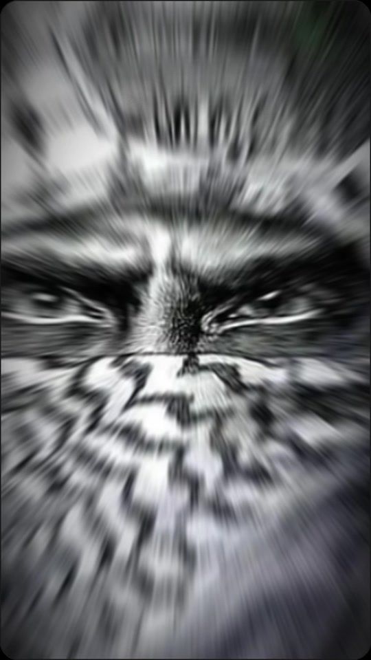 TikTok video thumbnail by ebaa1993.fsh