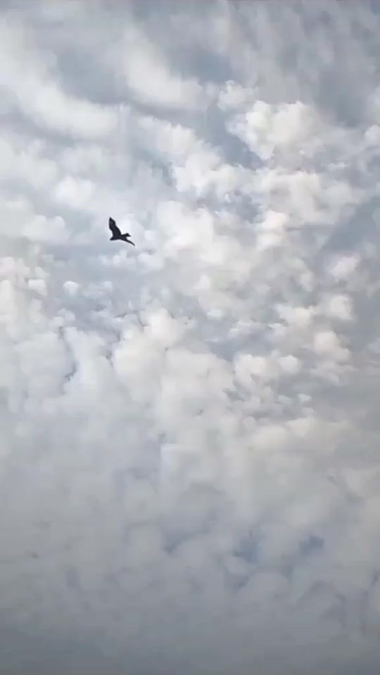 TikTok video thumbnail by fairouz963