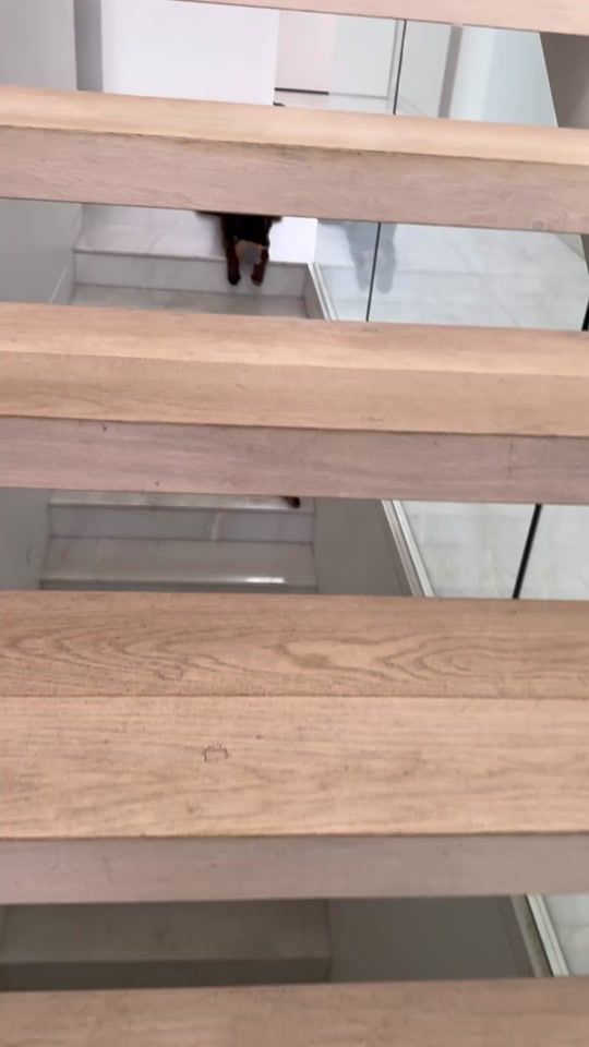 TikTok video thumbnail by leo69555