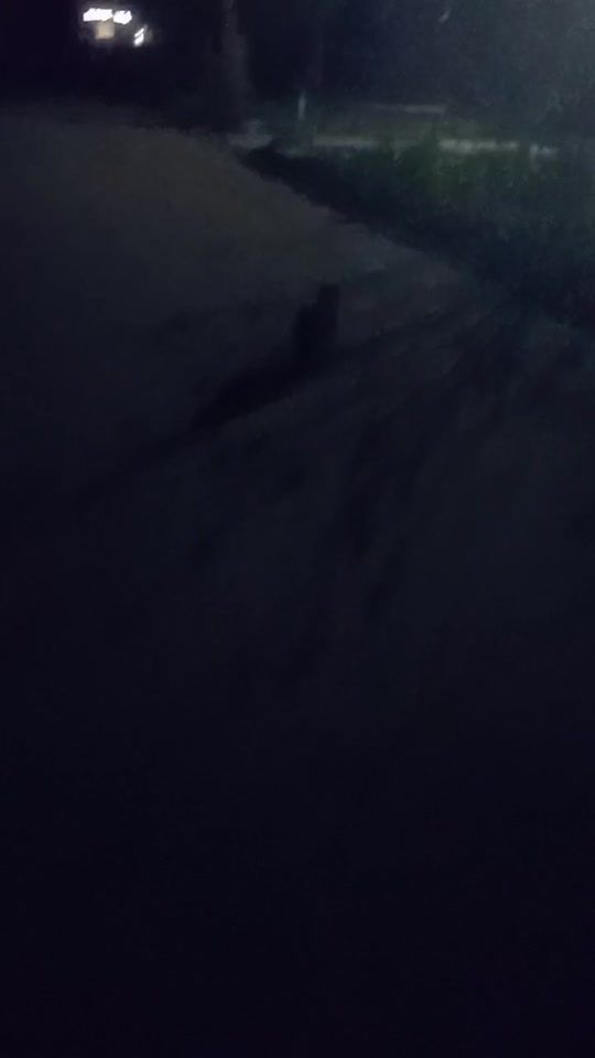 TikTok video thumbnail by _veronica_224