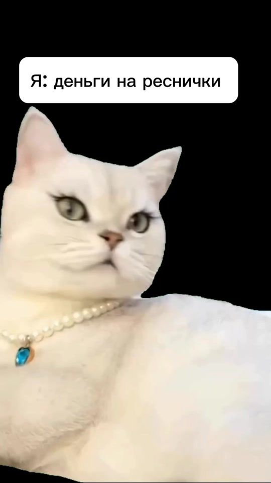 TikTok video thumbnail by kemf98